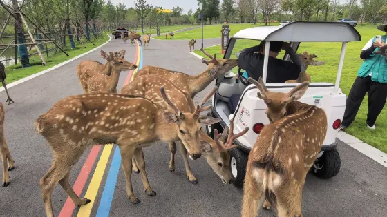 宿遷森迪野生動物世界