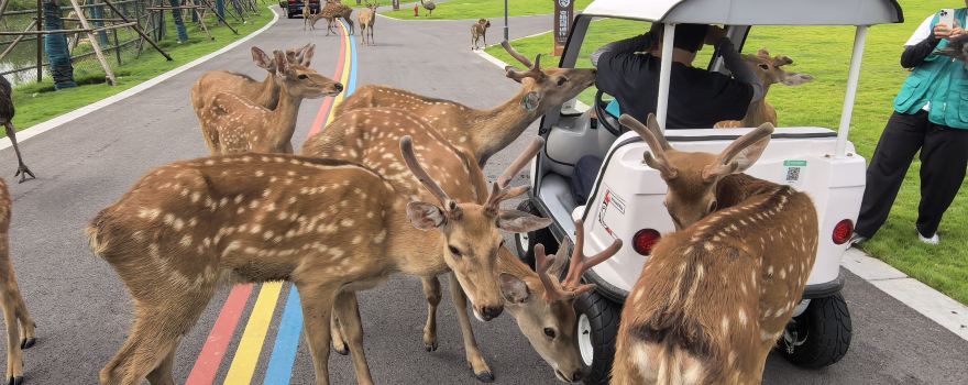SUQIAN SENDI SAFARI PARK