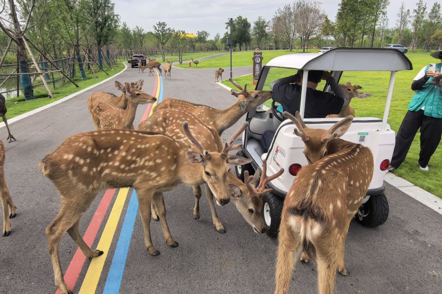 宿遷森迪野生動物世界
