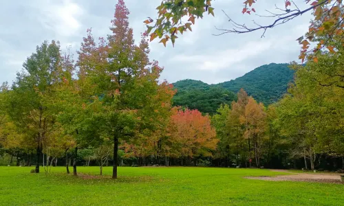 Shiwan Great Mountain National Forest Park