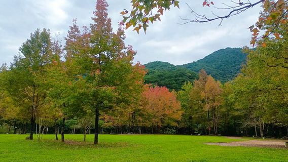 Shiwan Great Mountain National Forest Park