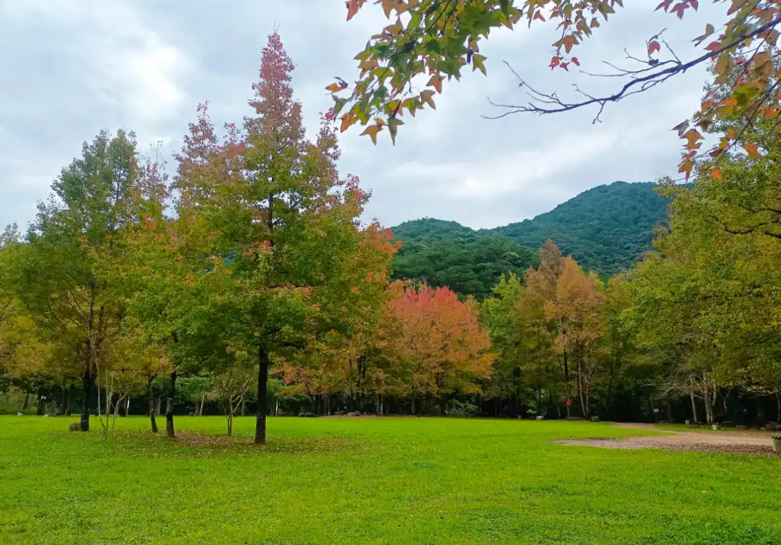 Hotels near Shiwan Great Mountain National Forest Park