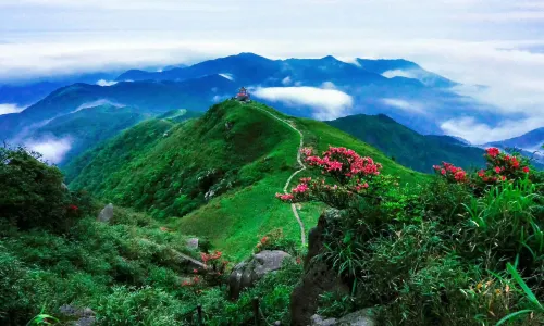 Gupo Mountain Tourist Area