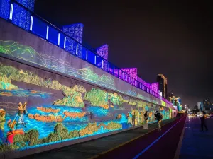 Oujiang Night Cruise
