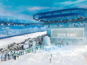 Wuhan Snow Center