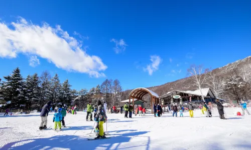 Skiing in Nagano