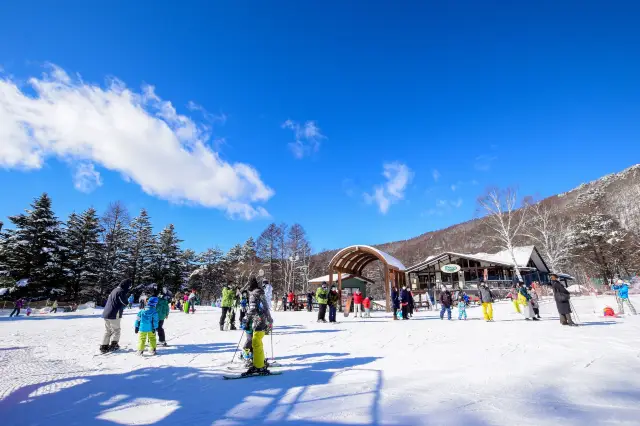 Skiing in Nagano