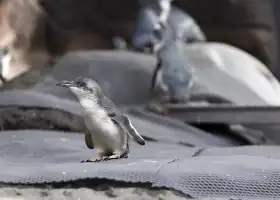 International Antarctic Centre
