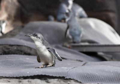 International Antarctic Centre