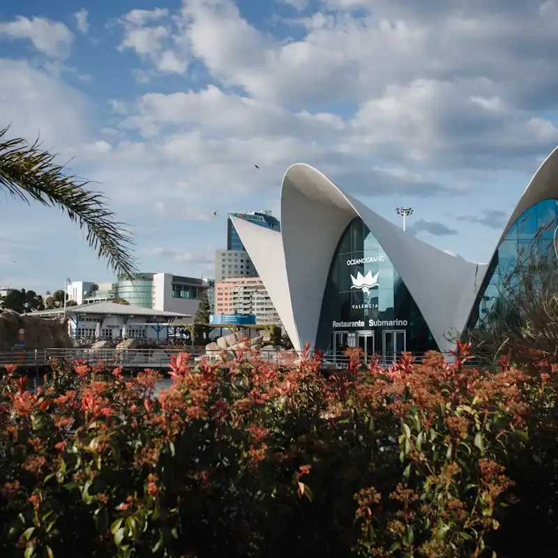 1_Oceanogràfic València