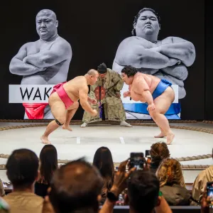THE SUMO HALL 日樂座 OSAKA 大阪相撲表演
