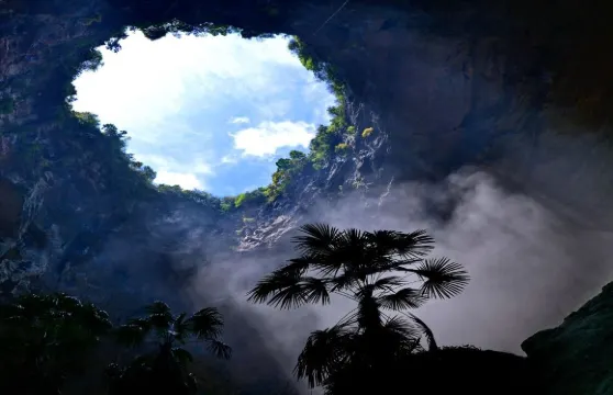 矅天眼景區門票優待（長者/退役軍人/學生）