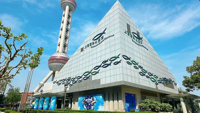 Shanghai Ocean Aquarium