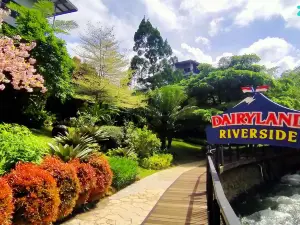 Cimory Dairyland Riverside Puncak Bogor