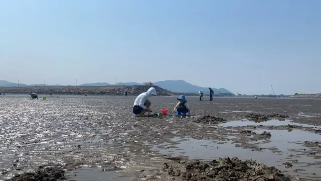 Beachcombing in Dalian