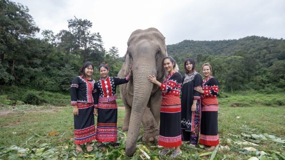 Chokchai Elephant Camp โปรแกรมและทัวร์วัน