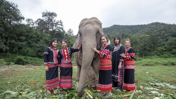 Chiang MaiExperiences