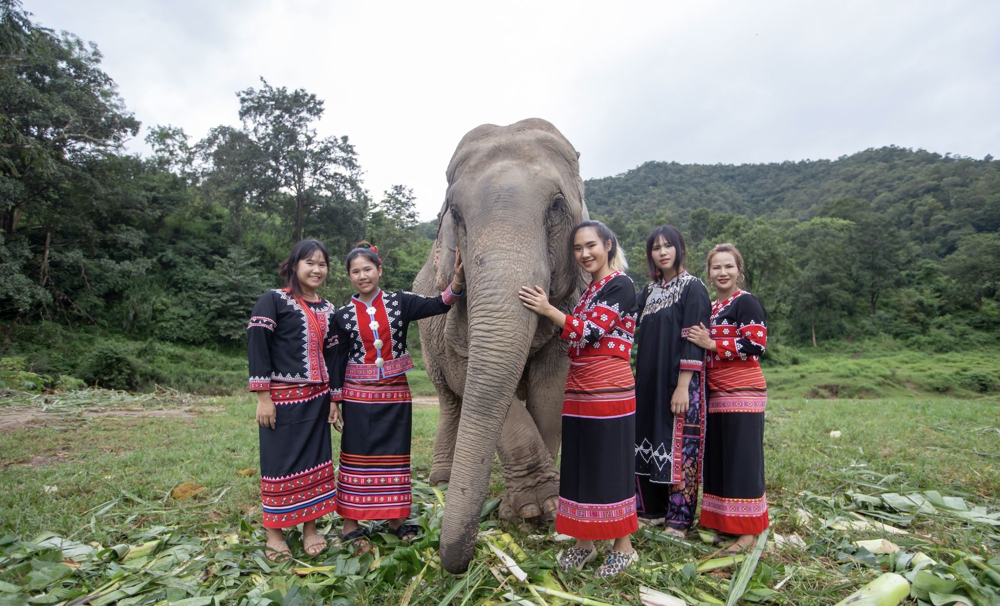 Chokchai Elephant Camp โปรแกรมและทัวร์วัน