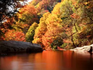 Eighteen Moon Lake Scenic Area