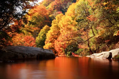 Eighteen Moon Lake Scenic Area