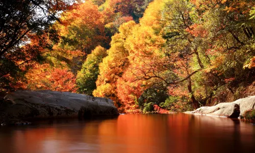 Eighteen Moon Lake Scenic Area