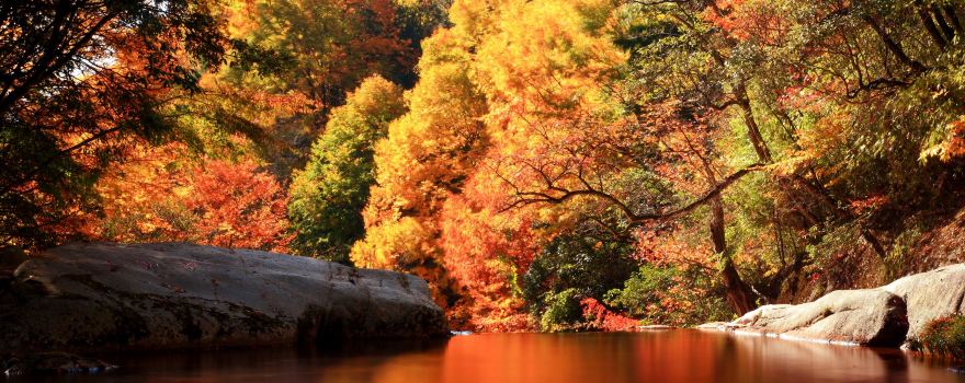 Eighteen Moon Lake Scenic Area