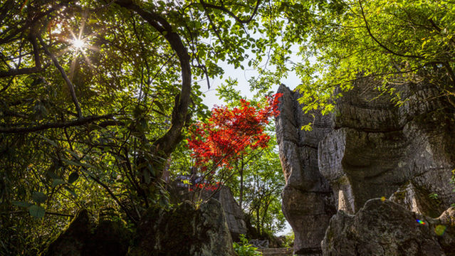 Shanwangping Karst National Ecological Park