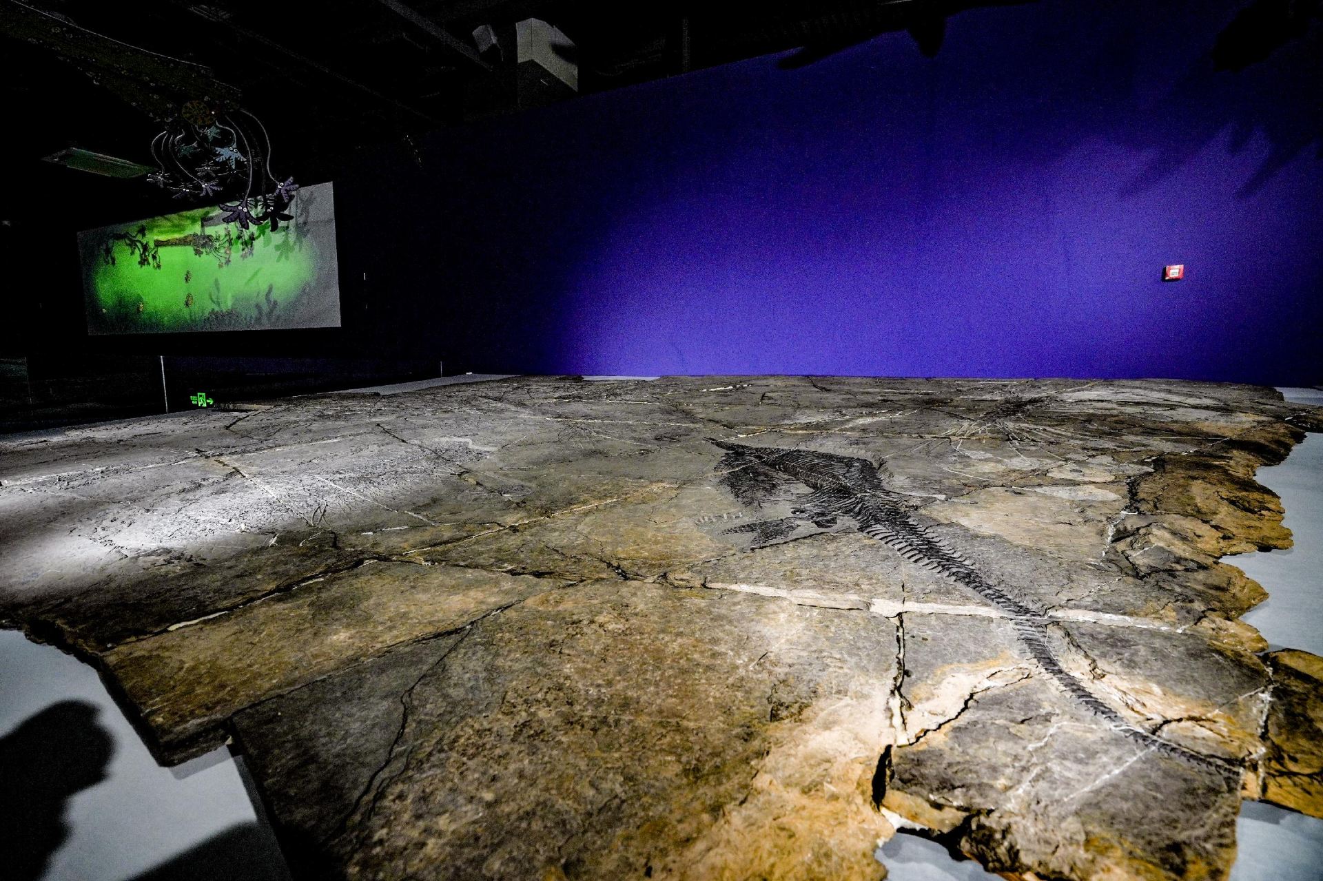 "Hi! Sea Monster" - Xiamen Science and Technology Museum's Annual Special Exhibition | Xiamen Science & Technology Museum