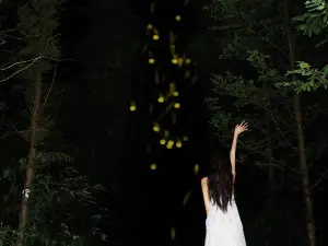 Qiandao Lake Youwuli Firefly Theme Park
