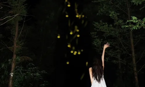 Qiandao Lake Youwuli Firefly Theme Park