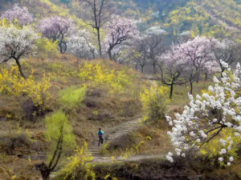 太行大峡谷風景区