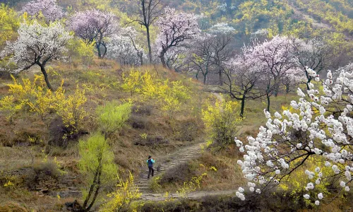 Taihang Grand Canyon Scenic Area