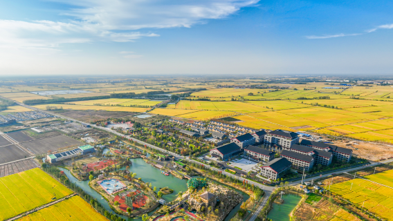 Xuefeng Military and Political University Training Camp