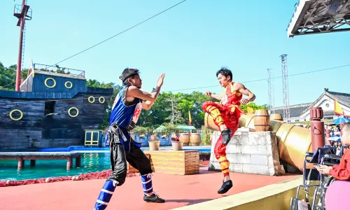 Martial Arts Performances in Foshan