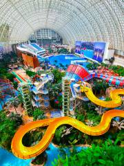 Paradise Island Ocean Park