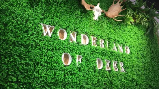 Wonderland of Deer