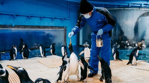 台灣海洋生物博物館