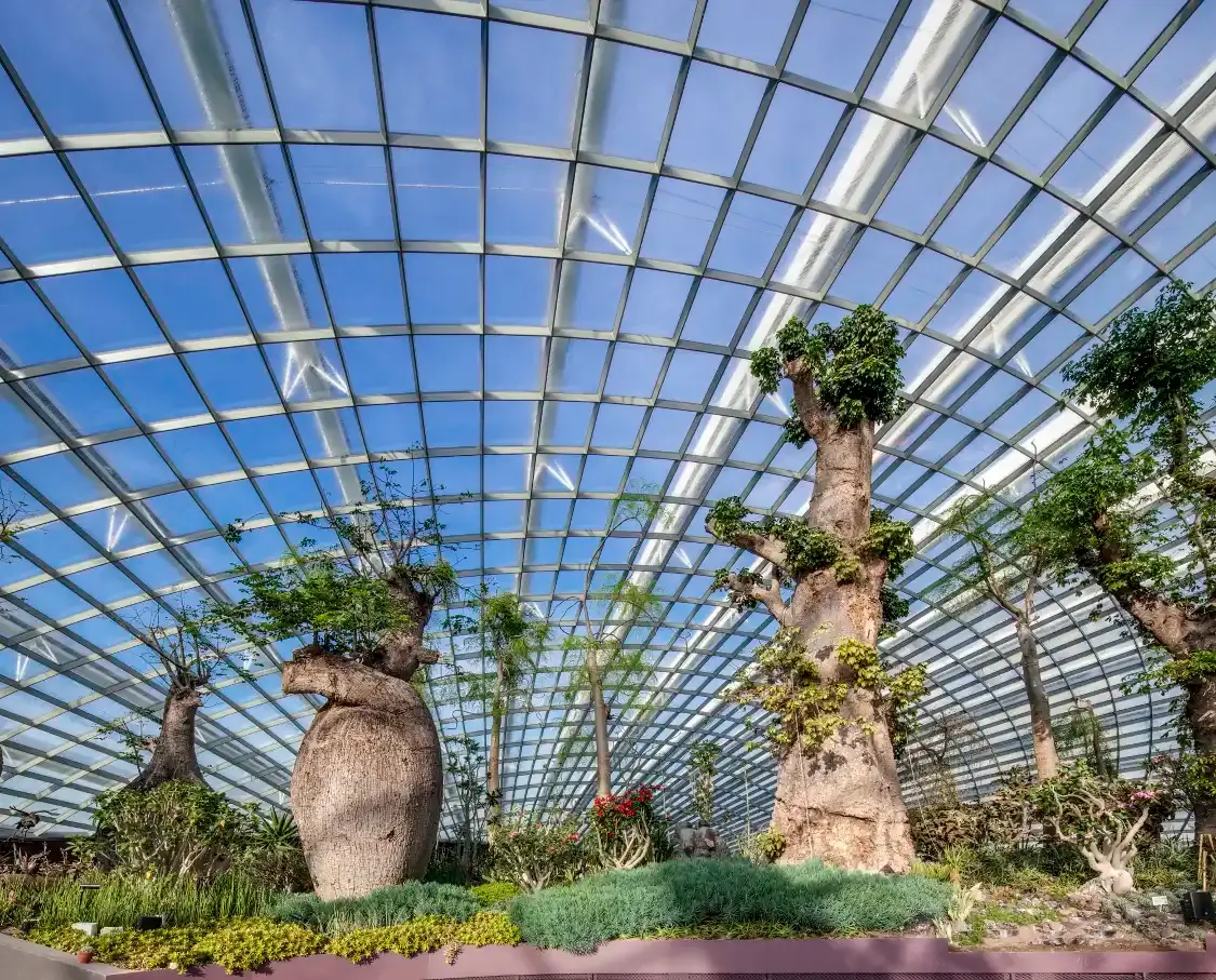 Hotels near Flower Dome