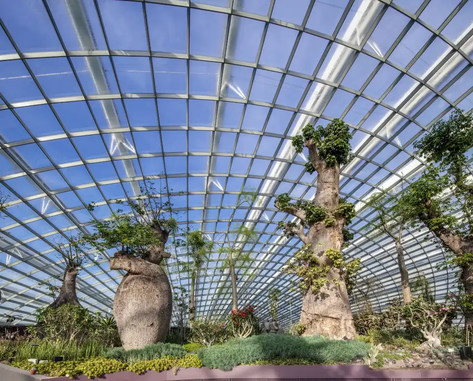 3_Flower Dome