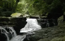 滿月圓國家森林遊樂區