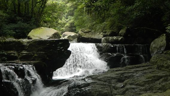 Manyueyuan National Forest Recreation Area