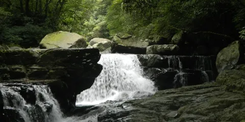 滿月圓國家森林遊樂區
