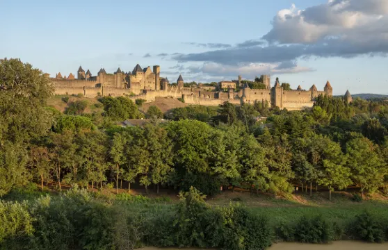 卡爾卡松城堡門票成人