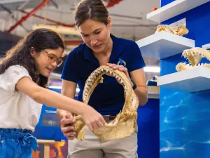 The Lost Chambers Aquarium