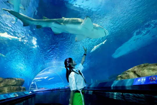 Shanghai Ocean Aquarium