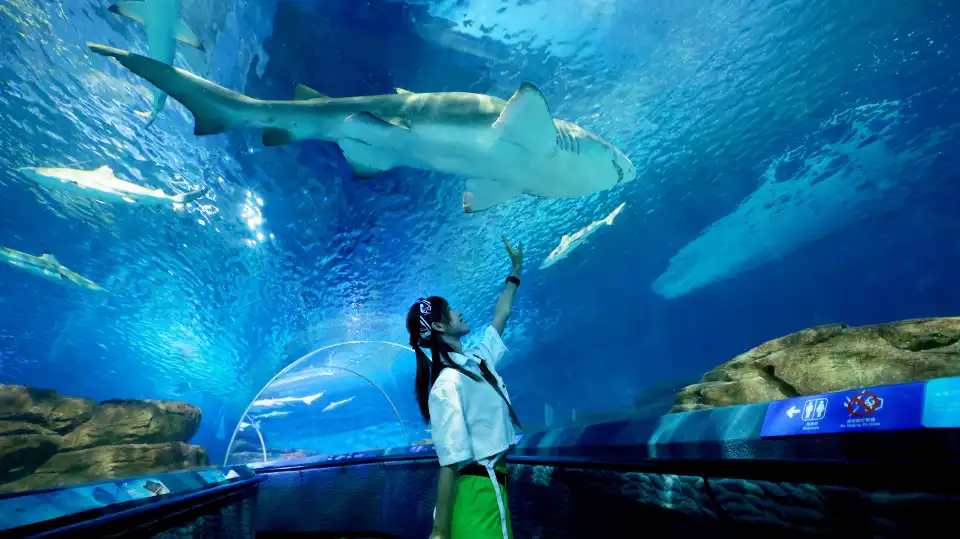 2_Shanghai Ocean Aquarium