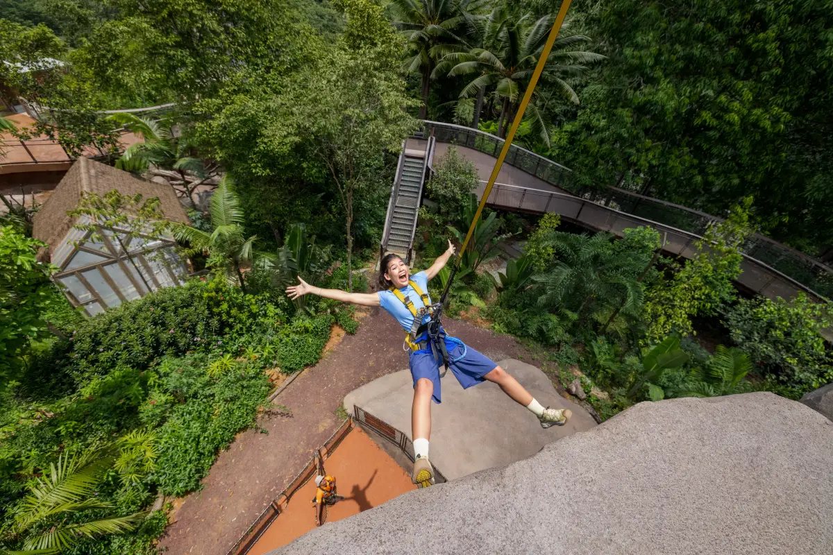 Rainforest Wild Adventure