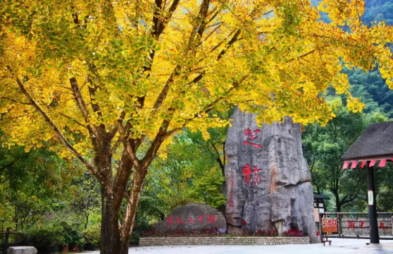 浙東小九寨門票成人
