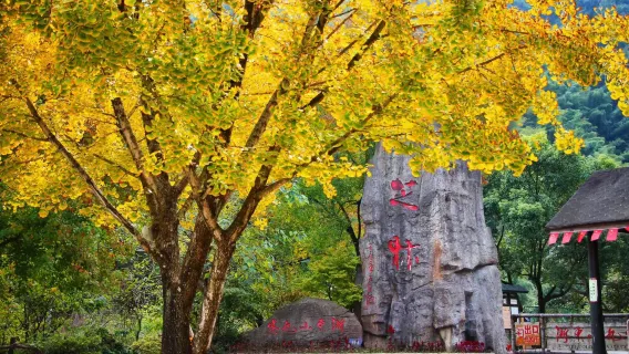 玩水避暑