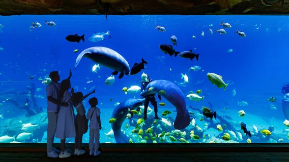 珠海長隆飛船樂園一日遊【探索宇宙星辰大海&海洋動物@私家團】